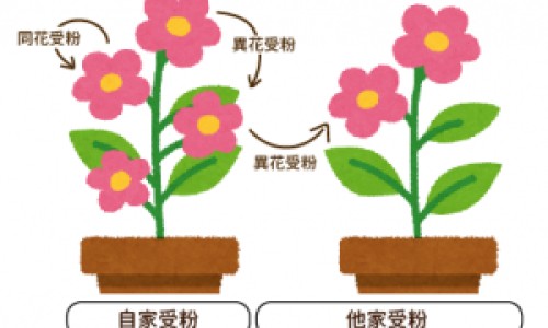 挂瓶和打针的区别是什么-吊瓶和打针的区别-挂瓶好还是打针好,中国挂瓶和打针的区别网站